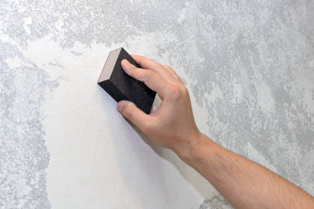 Best Black Mold Removal  in Three Rivers, MI