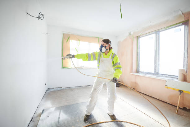 Best Post-Construction Mold Inspection  in Three Rivers, MI