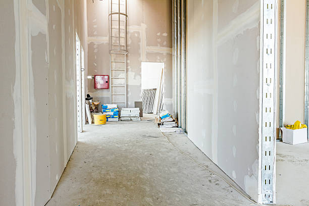 Best Post-Construction Mold Inspection  in Three Rivers, MI