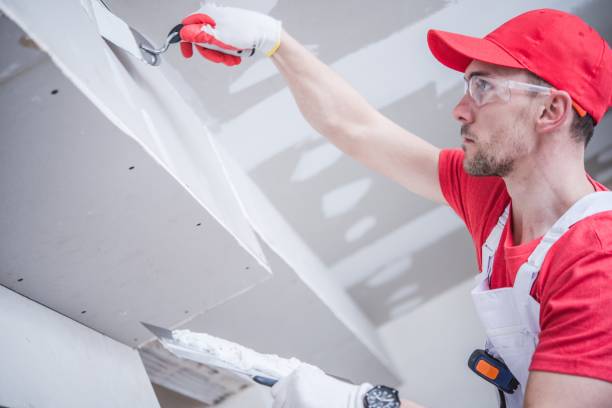Best Emergency Mold Remediation  in Three Rivers, MI
